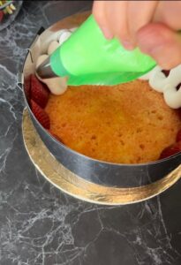 Torta francese alle fragole Fraisier